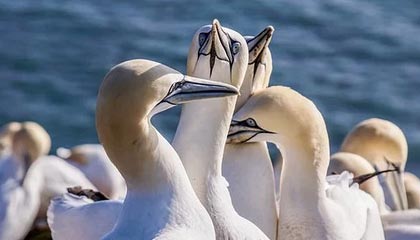 kaiyun官方入口登录-电竞赛事多样化发展趋势明显，电竞行业赛事方