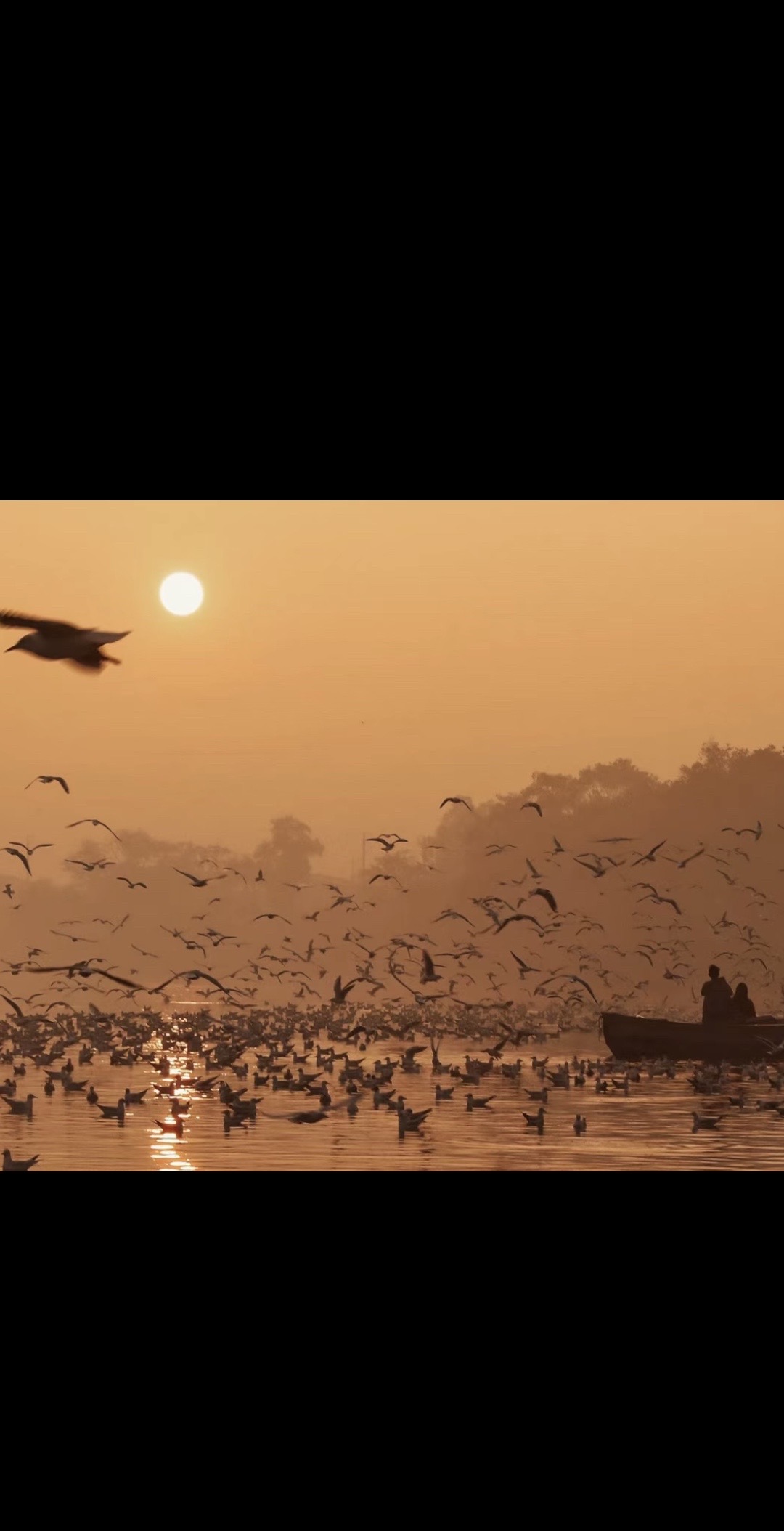 逆风而行：不屈不挠写成的运动传奇的简单介绍