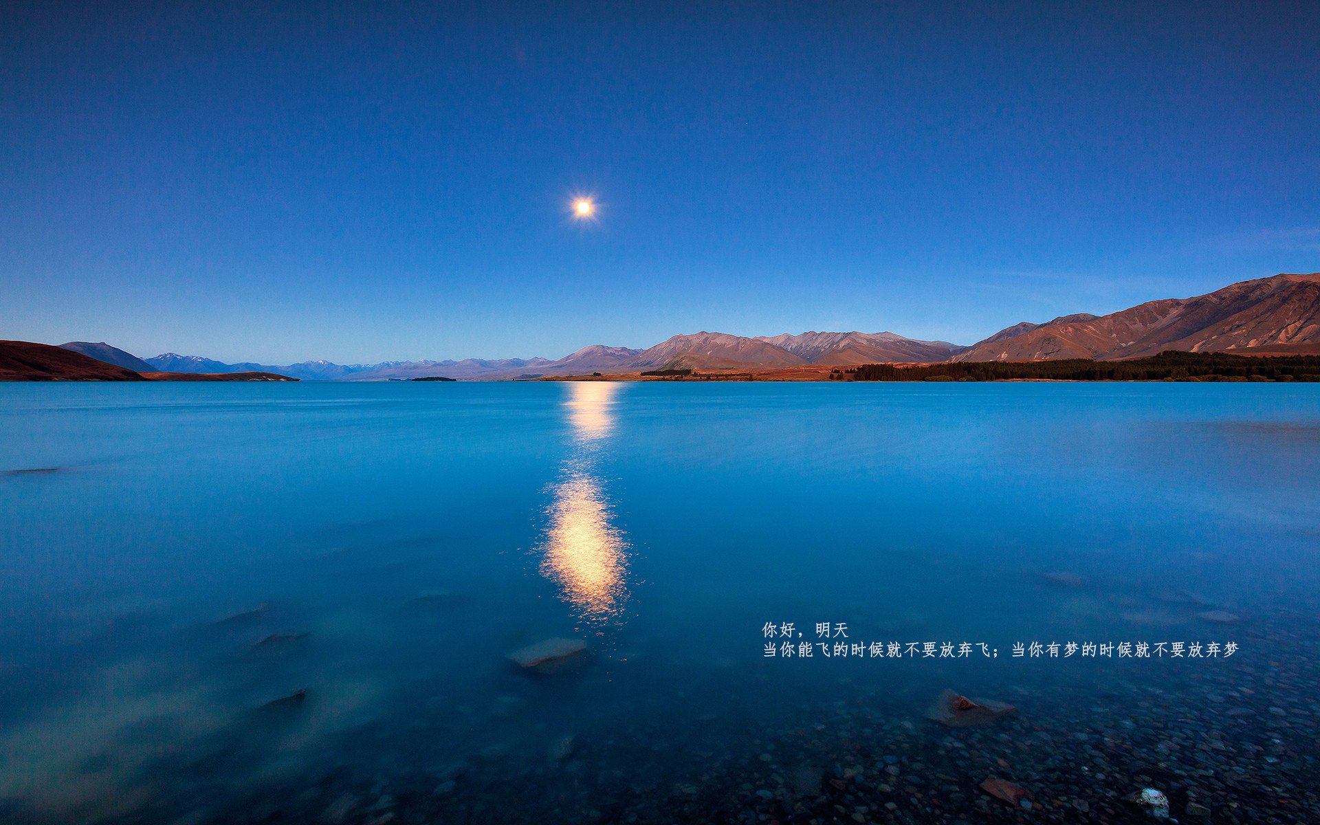 VR电竞新玩法引领未来,沉浸式体验震撼来袭,电竞主机vr游戏平台