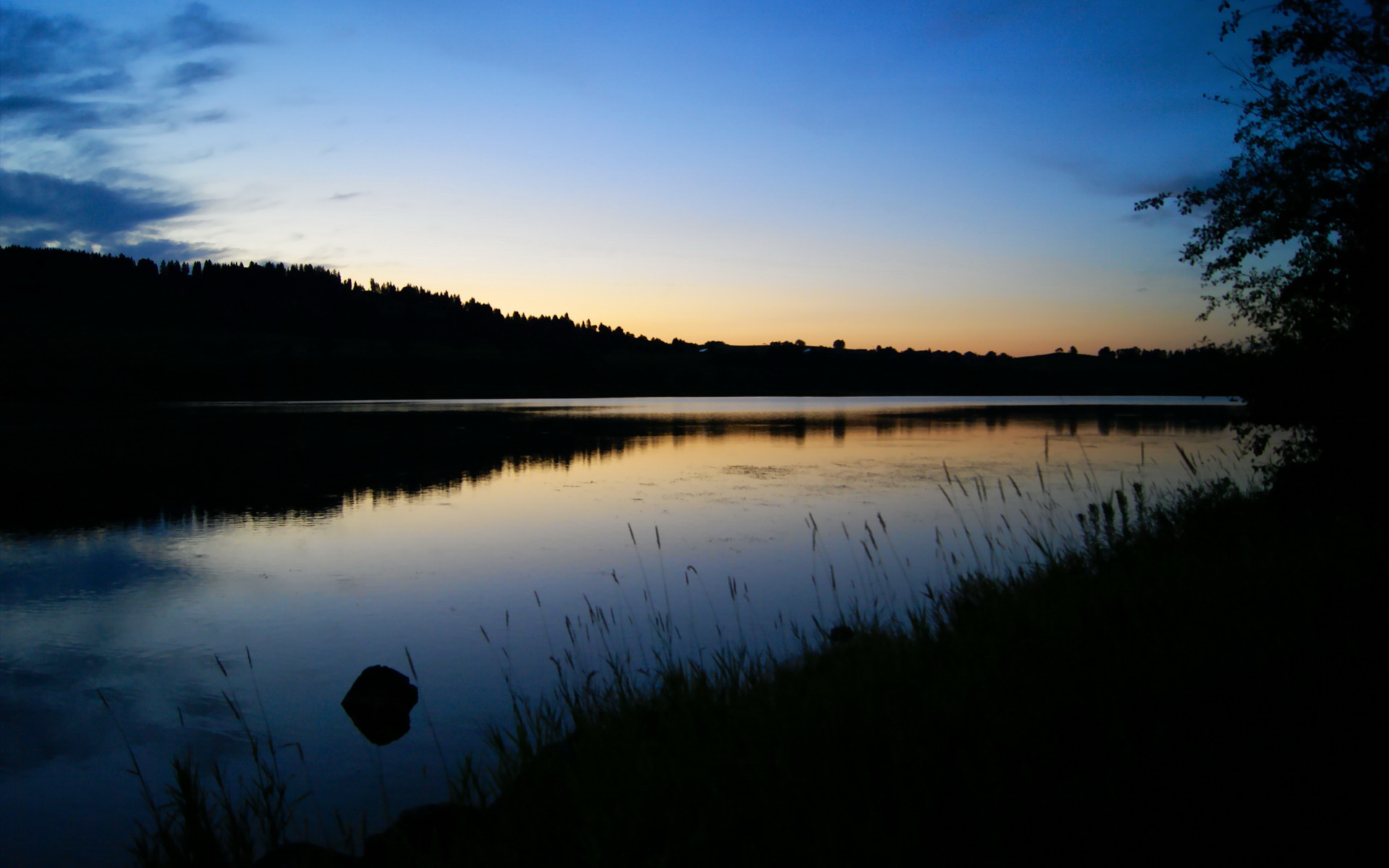 “法甲强队集体发力，追逐联赛最高荣耀”，法甲水平如何