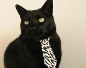 “法甲战局紧张，豪门奋力争夺最高荣誉”，法甲豪门宣布全队停薪