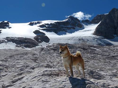【技术革新】新装备助力运动员提升表现