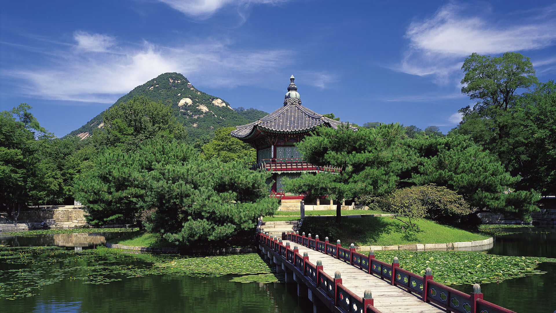 开云下载-夜幕灯光轮滑表演，城市街头的青春舞台，深夜轮滑