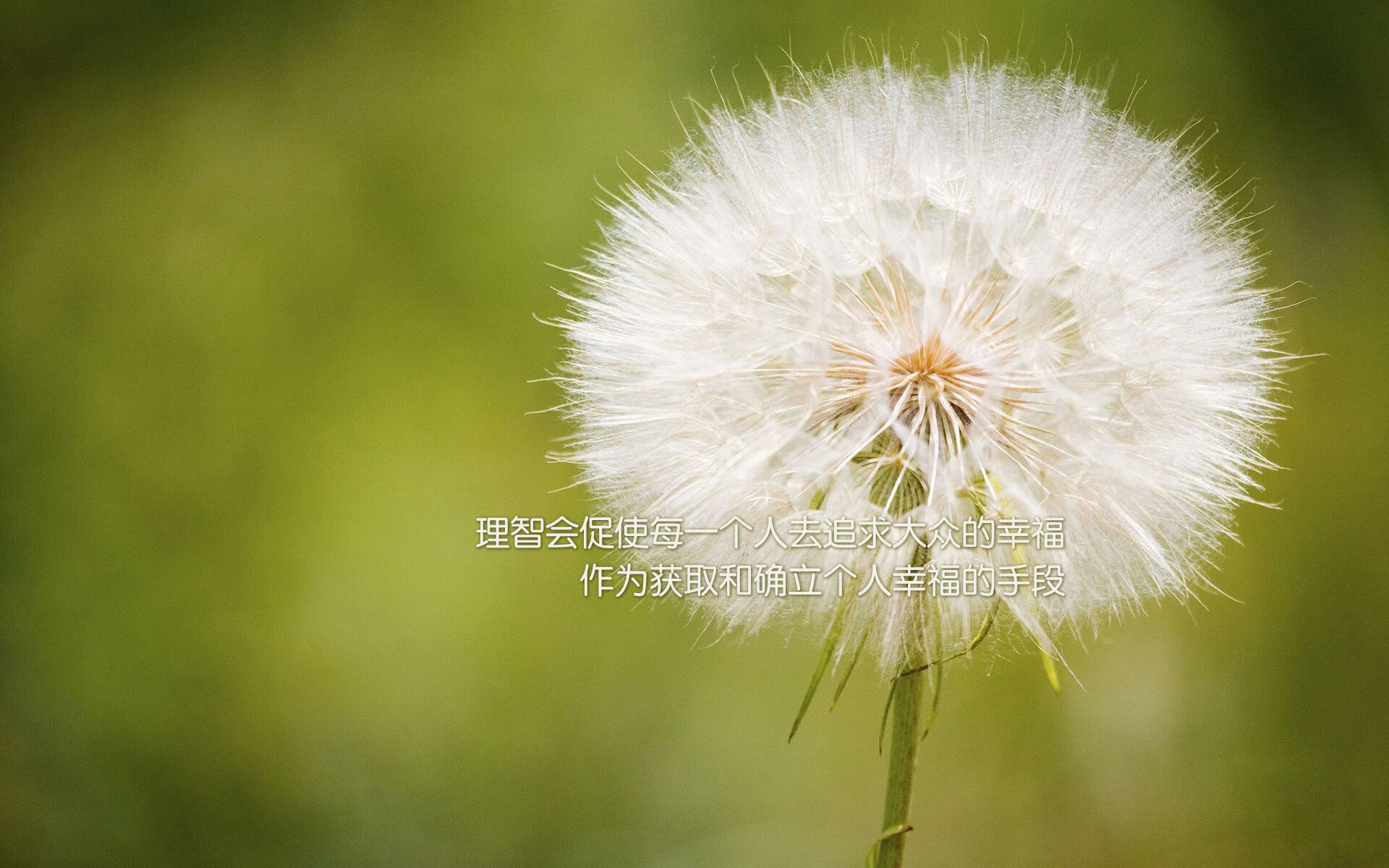 欧冠“人气王”评选:你支持的巨星是哪一位?,欧冠影响力秒杀nba