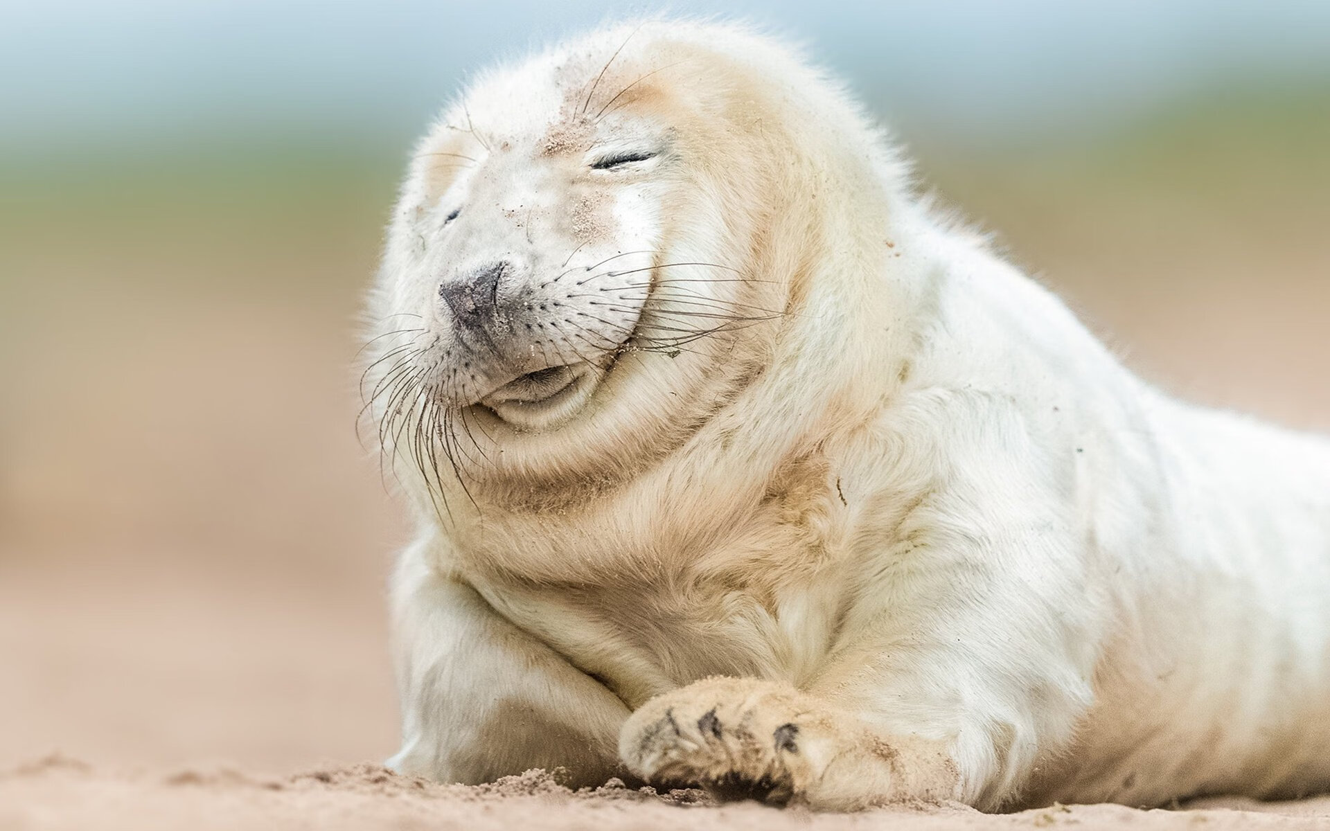 特色乡村水上拔河,传承传统文化的运动盛典,拔河项目