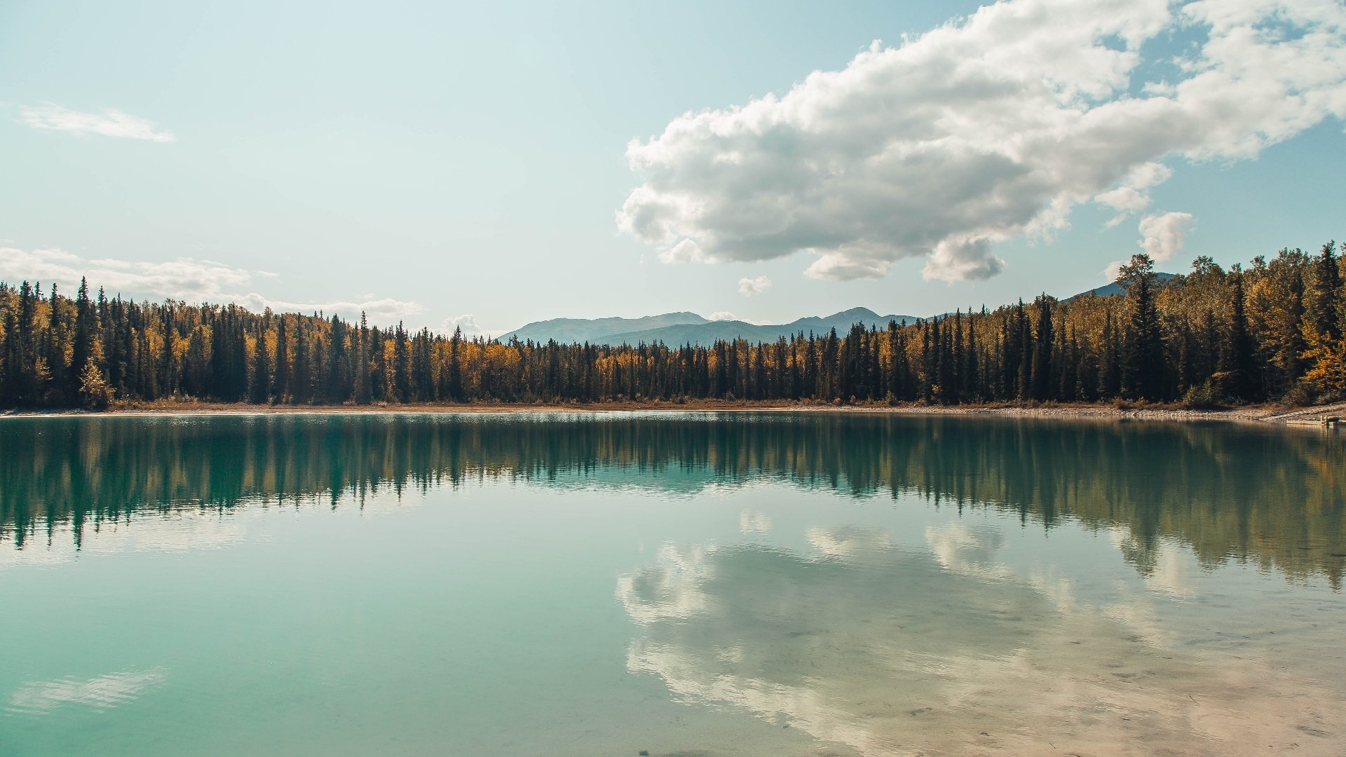 电竞赛事奖金再创新高,职业选手收入稳步增长,电竞职业选手奖金排行榜