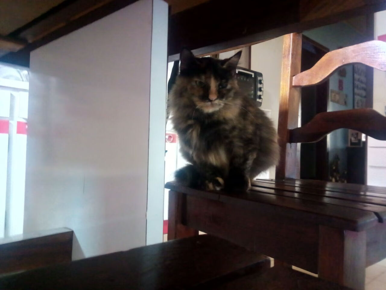 电竞赛事奖金创新高，单项冠军可获500万元，电竞比赛奖金选手能拿多少