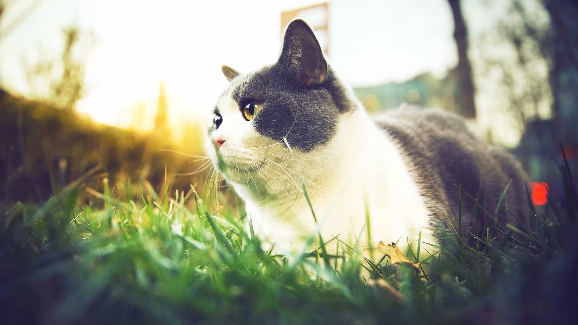 电竞赛事奖金创新高，电竞比赛奖金分配