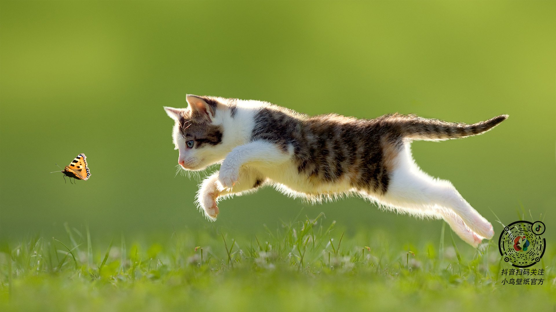 裁判新规引发争论，规则完善持续推动公平竞赛，裁判公开规定