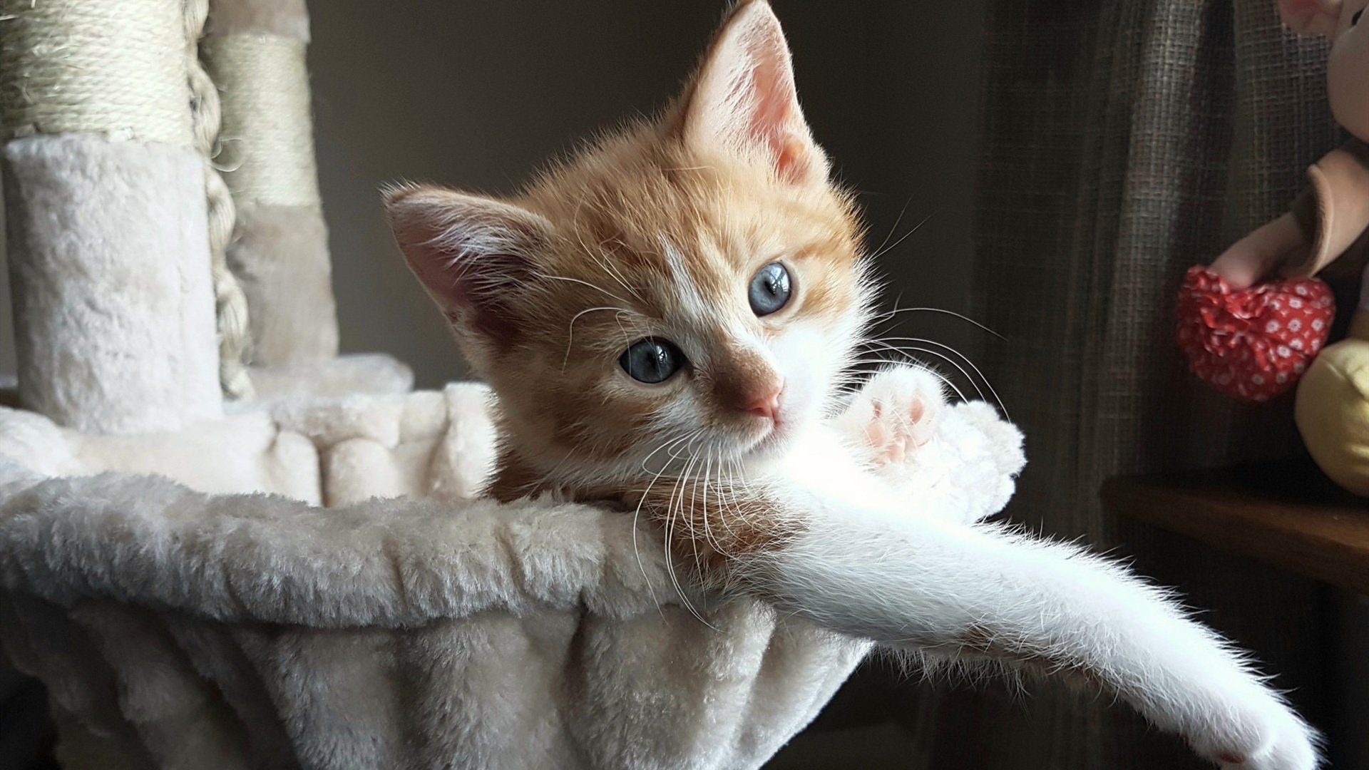 EDG战队阵容深度不断增强，edg战队队员名单