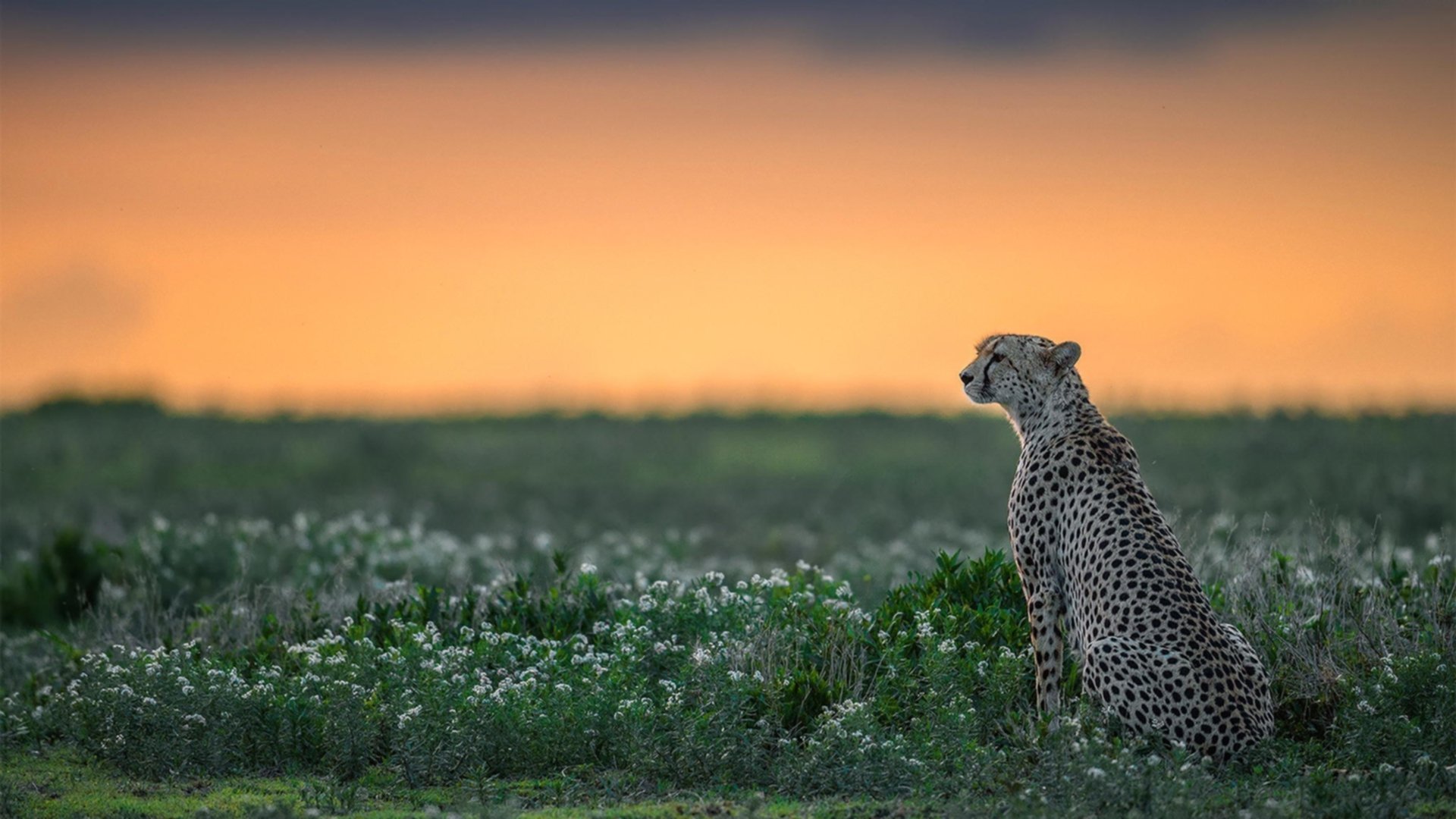 利物浦重夺欧冠冠军，备战新赛季，利物浦重夺欧冠冠军,备战新赛季是哪一年