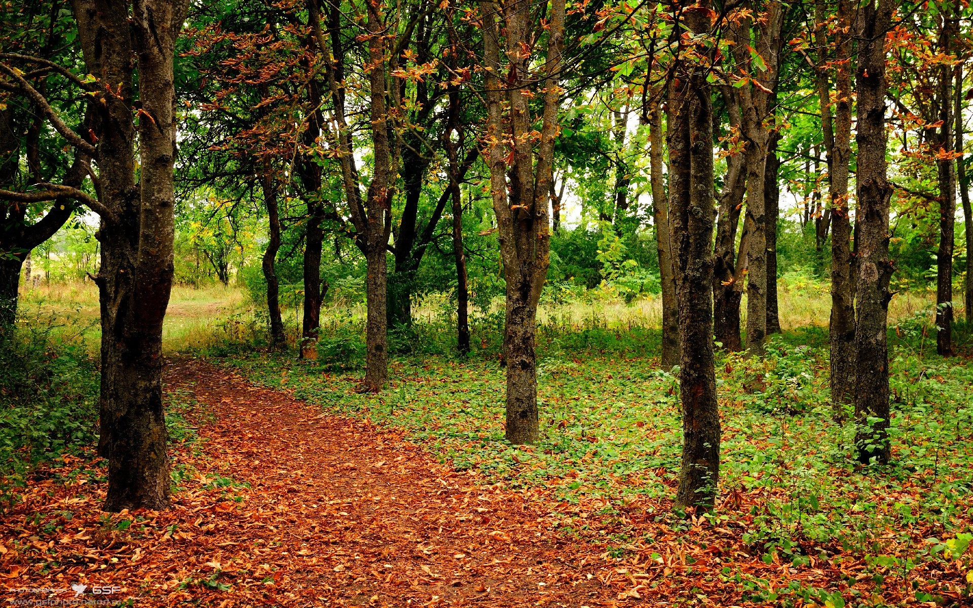实力碰撞:场面火爆,双方拼尽全力,实力的较量是什么意思