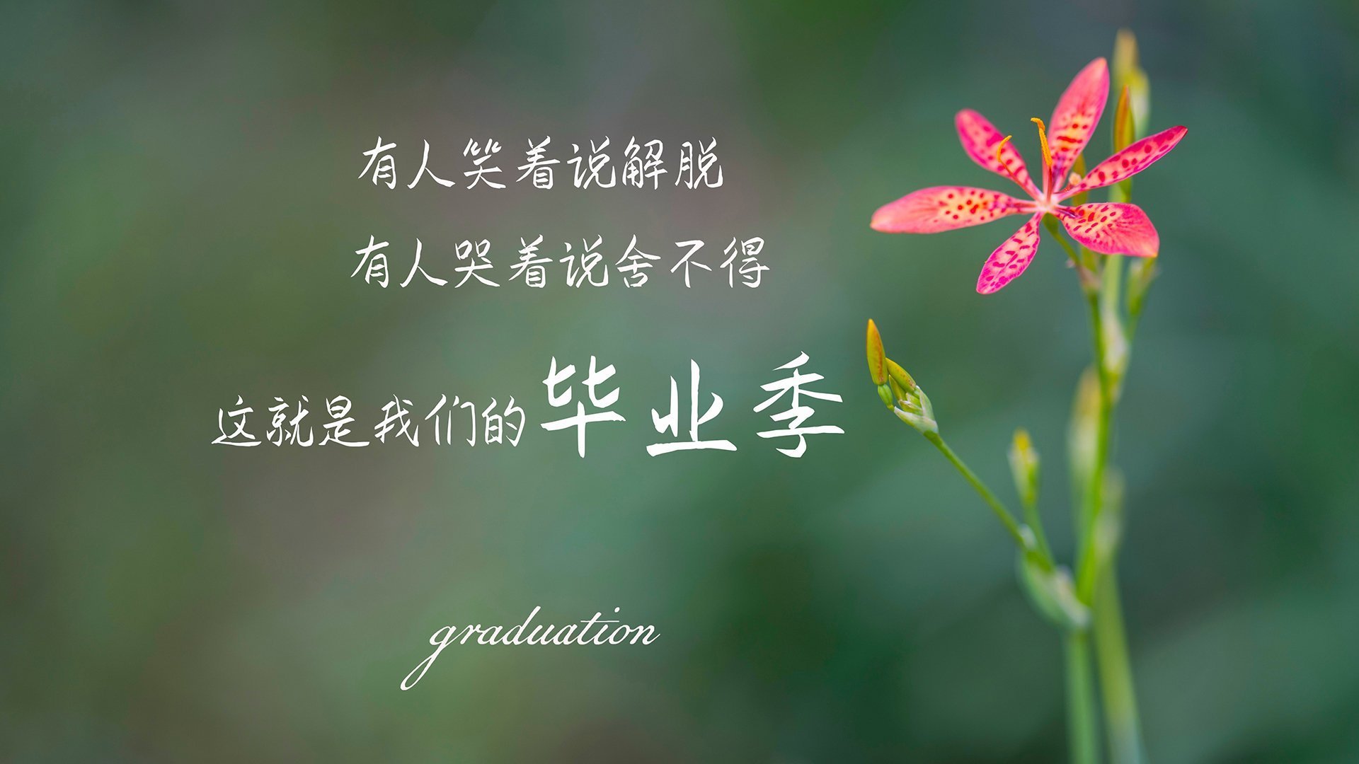 球员状态神勇，对抗局势紧张刺激，球员的状态