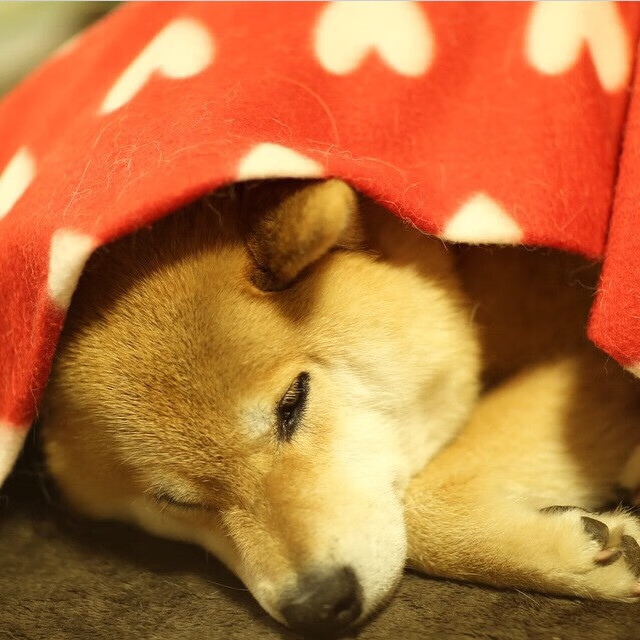 经典英雄改动解析,经典英雄泪