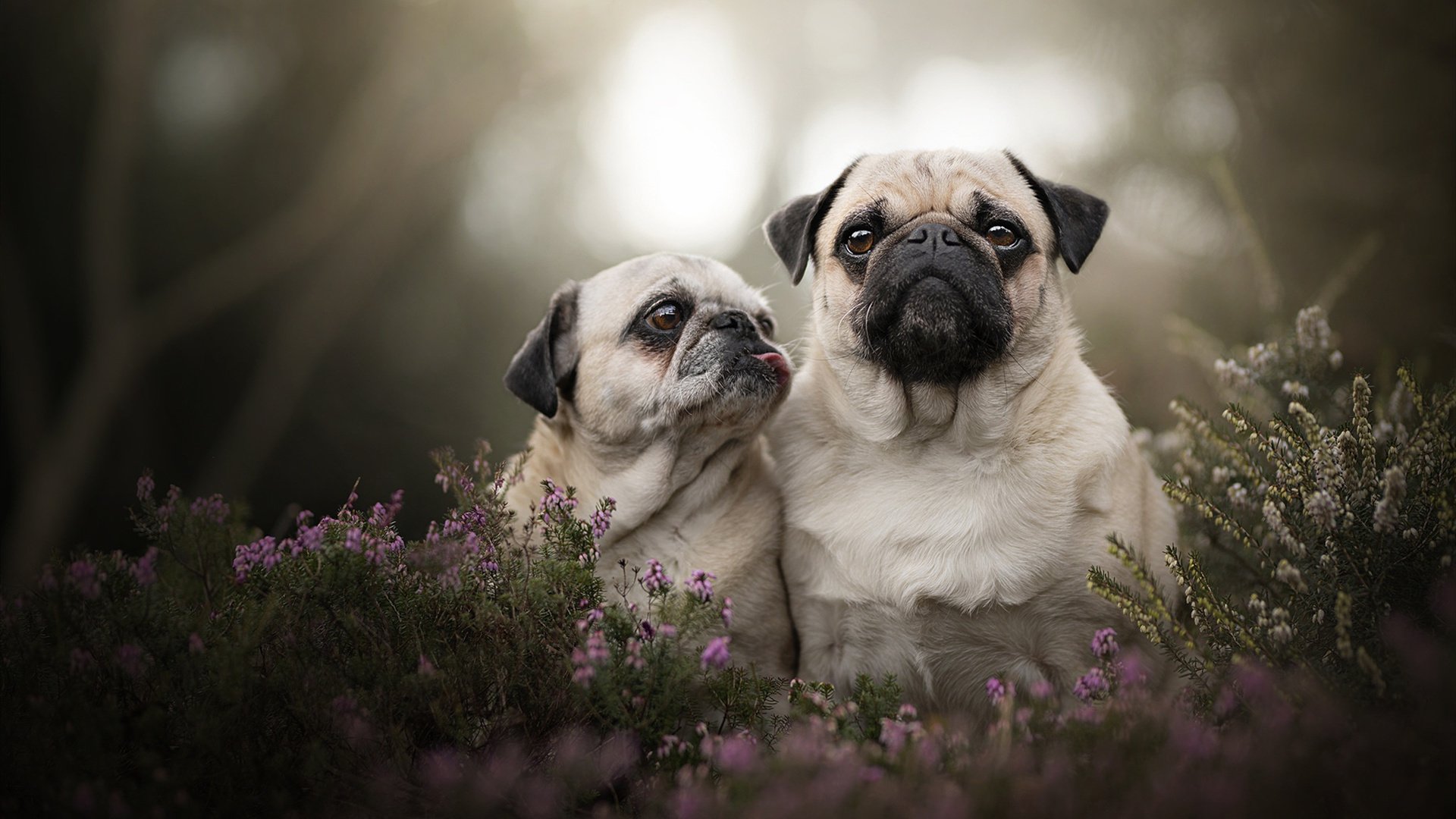 中小学课后体育托管服务创新模式研究,中小学生课后托管问题