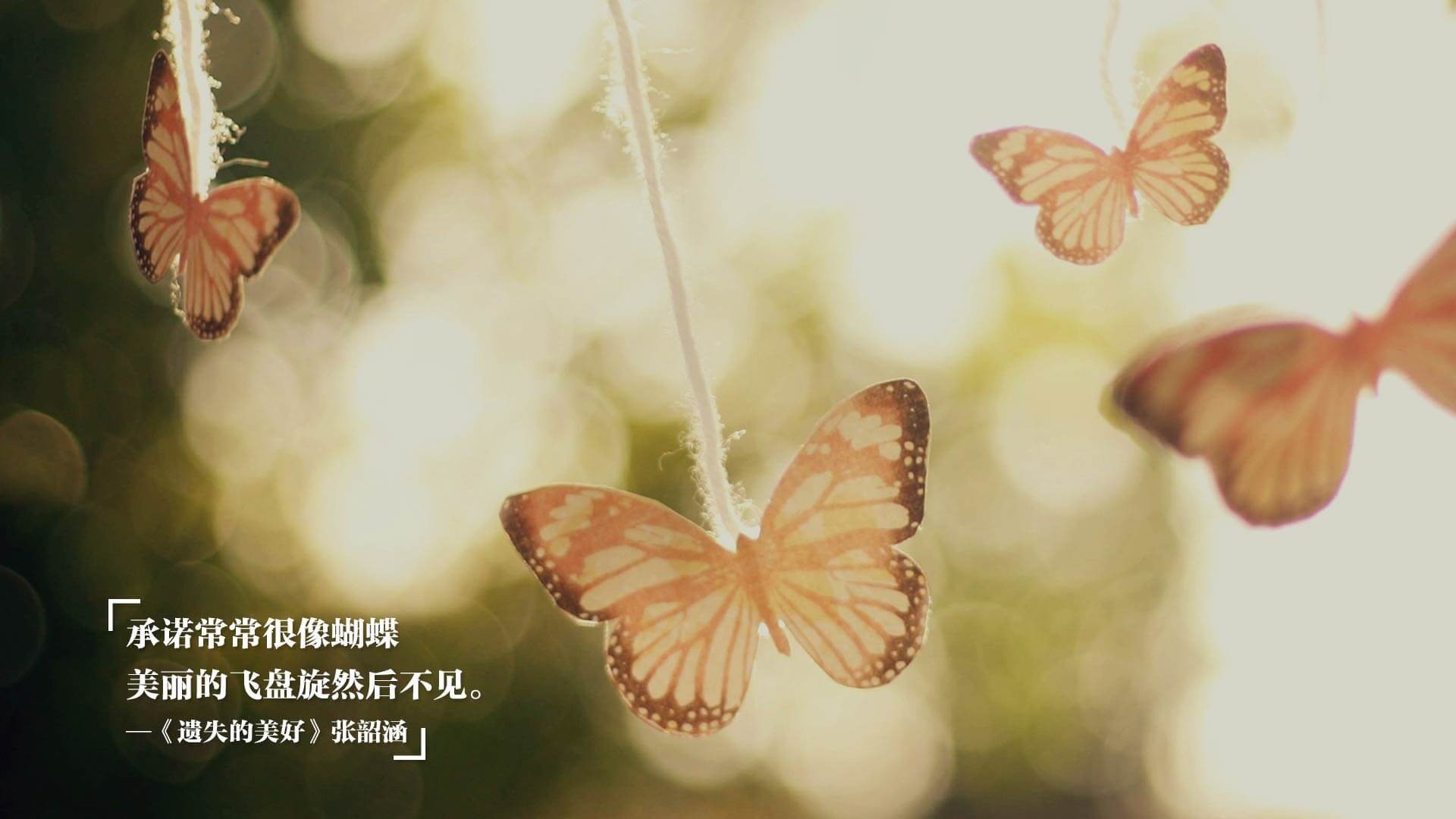 体育新闻中心推动基层体育数字内容发展计划,体育 数字化