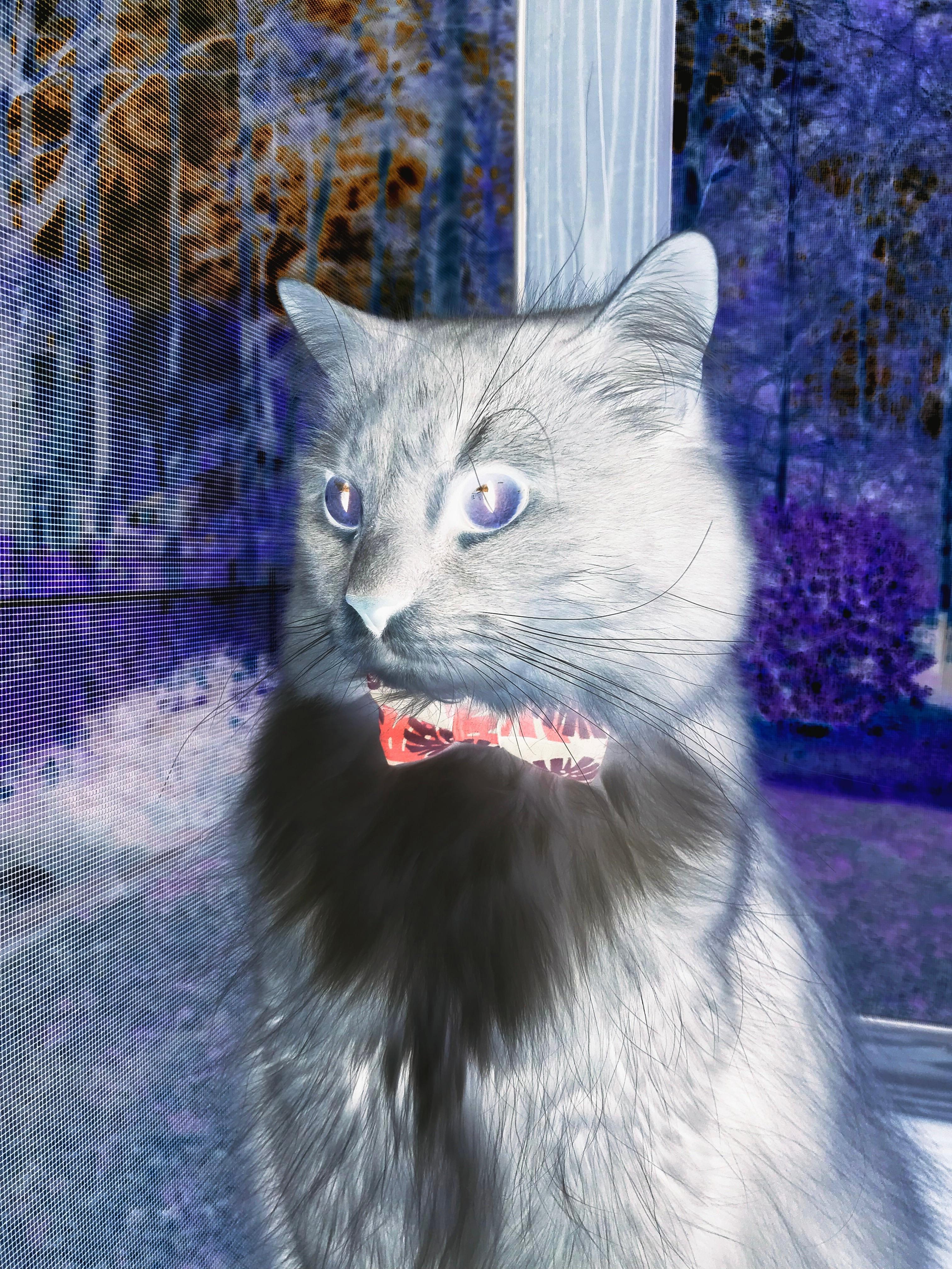 体育明星演讲活动鼓励青少年奋斗,体育励志演讲