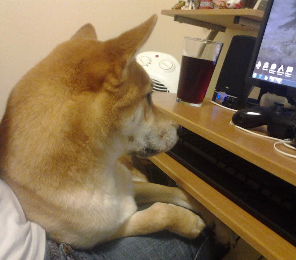 开云-历史得分排行榜前十对比，历史得分榜nba百度百科