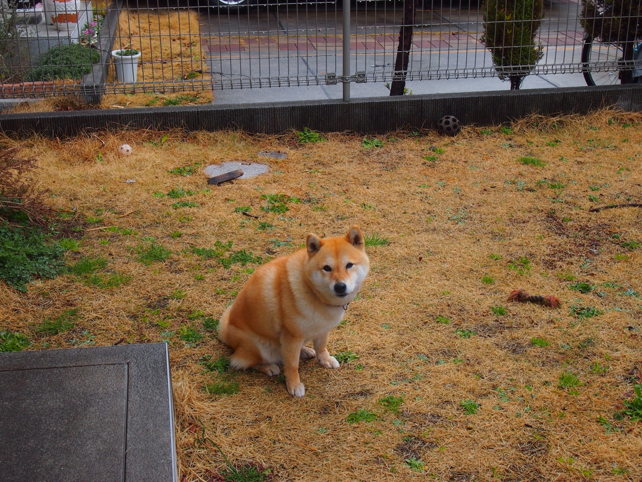 国家女篮继续强化团队协同多场教学赛成绩稳步提升,国家队女篮球比赛视频