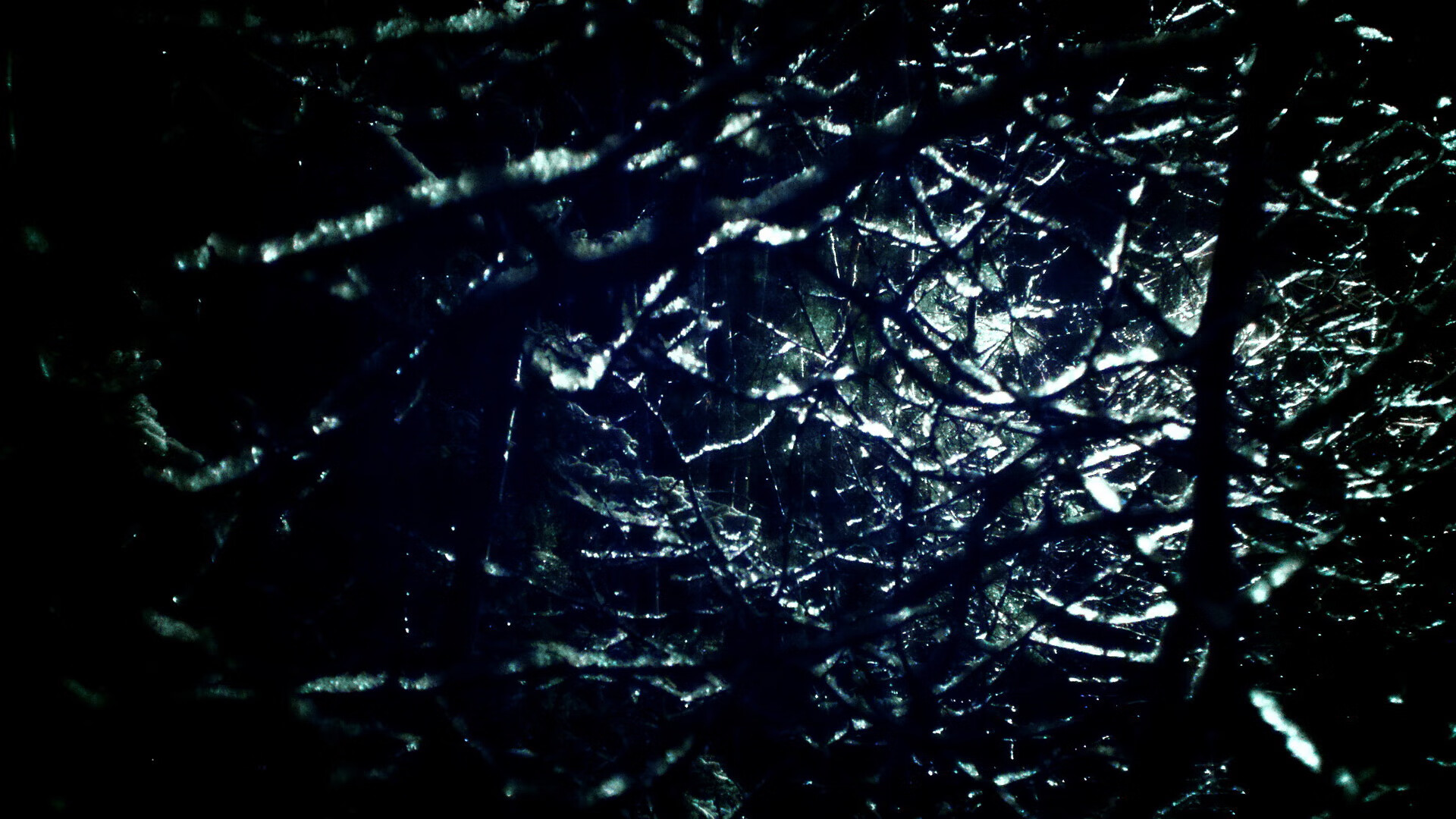 美洲杯明星盛典:精彩演出点燃全场!,美洲杯颁奖嘉宾