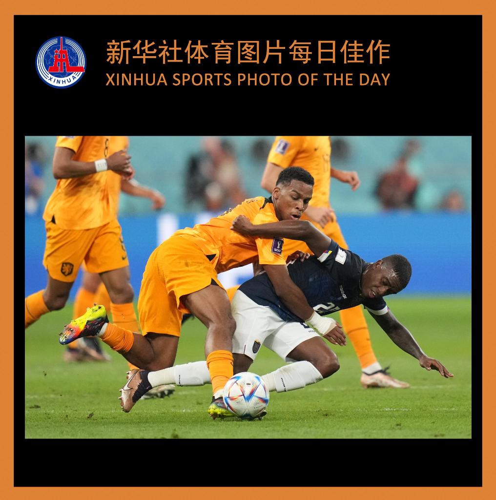 开云体育:足球队阵容构建的艺术,成功组成战斗组合的简单介绍 开云体育:足球队阵容构建的艺术,成功组成战斗组合的简单介绍